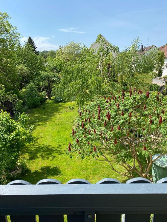 Ferienwohnung Zur Roni Тройхтлінґен Екстер'єр фото