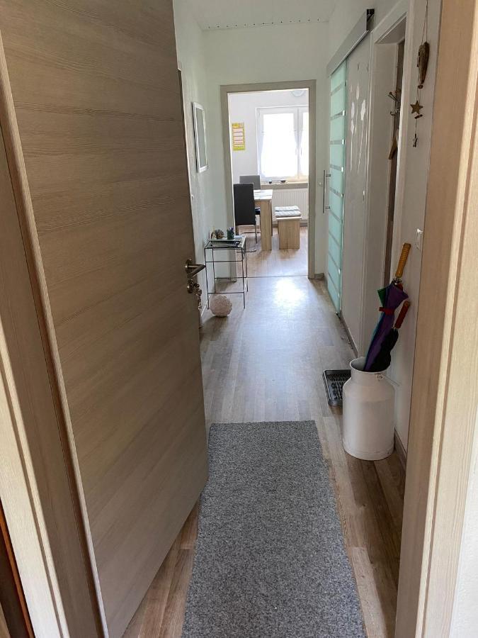 Ferienwohnung Zur Roni Тройхтлінґен Екстер'єр фото
