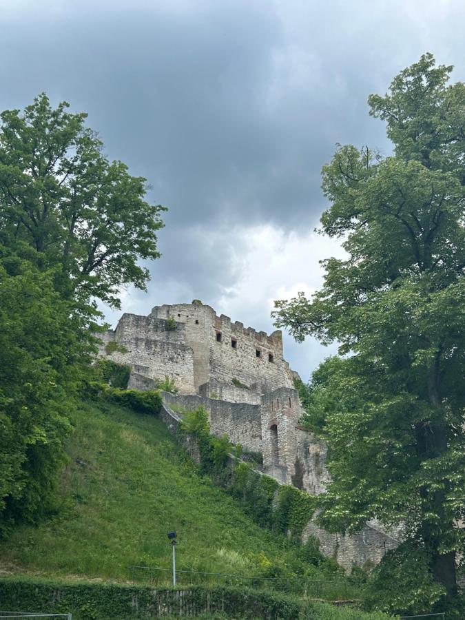Ferienwohnung Zur Roni Тройхтлінґен Екстер'єр фото